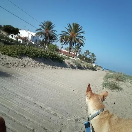 El Rincon De - Paraiso Del Sol 데니아